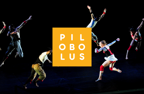 More Info for Pilobolus: Big Five-Oh! 